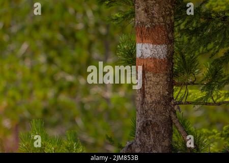 Marquage ou markacija de la thème - valbona sentier de randonnée dans le nord de l'Albanie, reliant deux vallées pittoresques obtenant la reconnaissance entre la randonnée com Banque D'Images