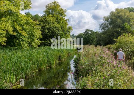 Homme marchant sur le chemin de la marche de Keats entre le ruisseau de craie et la rivière Itchen près des terrains de jeu de Winchester College, Winchester, Hampshire, Royaume-Uni. Banque D'Images