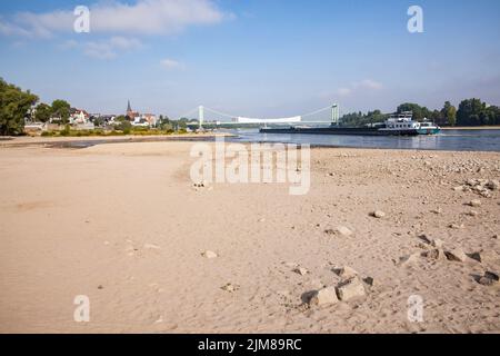 Faible niveau d'eau du Rhin, 30 juillet 2022, rives du Rhin dans le district de Rodenkirchen, Cologne, Allemagne. Niedrigwasser des Rheins, Banque D'Images