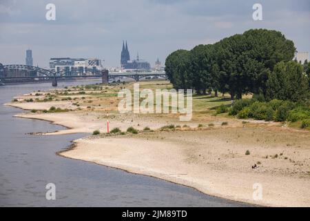 Basse eau du Rhin, 26 juillet 2022, rives du Rhin à Cologne-Poll, vue sur le port de Rheinau et la cathédrale, Cologne, Allemagne. Banque D'Images