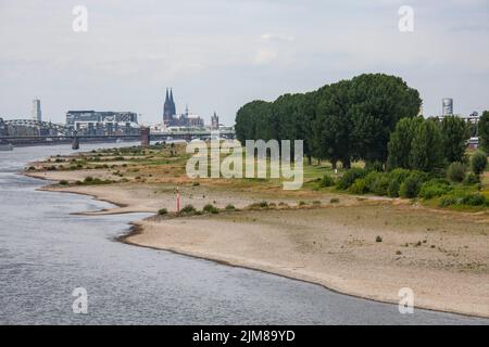Basse eau du Rhin, 25 juillet 2022, rives du Rhin à Cologne-Poll, vue sur le port de Rheinau et la cathédrale, Cologne, Allemagne. Banque D'Images