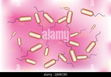 Bactéries Bacillus Illustration de Vecteur