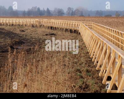 Passerelle au Federsee Banque D'Images