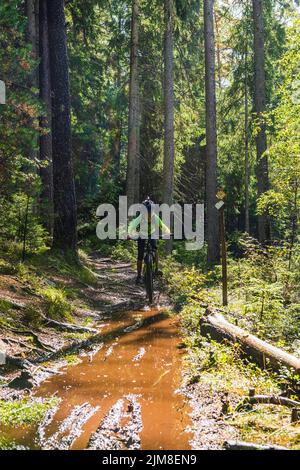 Vélo de montagne pour garçon sur un sentier de forêt boueux Banque D'Images