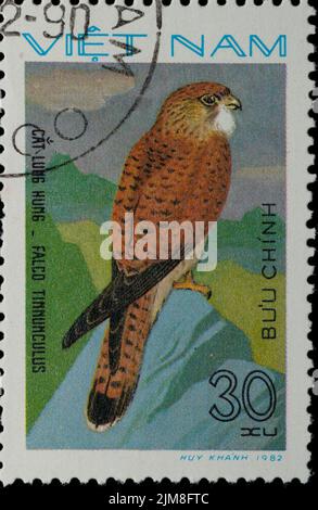 VIETNAM - VERS 1982: Timbre - aigle animal d'oiseau Banque D'Images