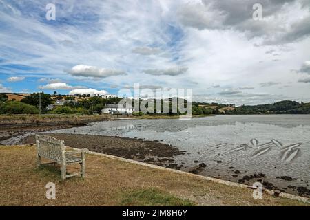 Cottages sur les rives de la rivière Tavy vus du quai à Bere Ferrers. La marée est basse avec des modèles dans le lit de la rivière. Banque D'Images