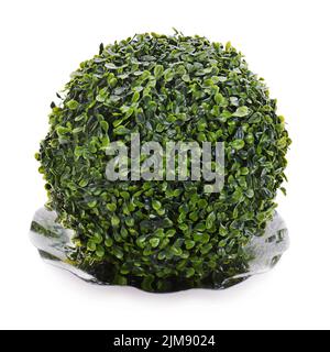 Sphère de l'herbe artificielle verte sur l'isolat de la plaque Banque D'Images
