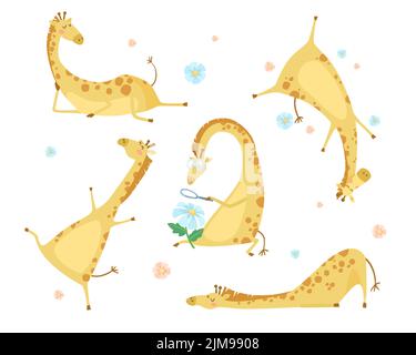 Girafes drôles avec fleurs ensemble d'illustrations de dessin animé. Adorables animaux sauvages heureux avec des lunettes coulant, assis, regardant la fleur à travers le grossissant gla Illustration de Vecteur