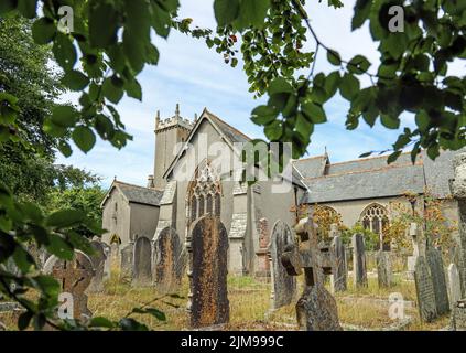 Avec des pièces datant du 14th siècle, l'église historique St Andrew à Bere Ferrers se trouve sur les rives de la rivière Tavy. Vue encadrée par l'arbre lea Banque D'Images