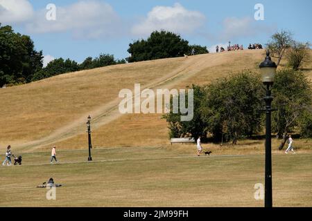 Primrose Hill, Londres, Royaume-Uni. 5th août 2022. Météo au Royaume-Uni : avertissements de sécheresse, paysages secs sur Primrose Hill, Londres. Crédit : Matthew Chattle/Alay Live News Banque D'Images