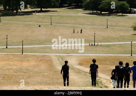 Primrose Hill, Londres, Royaume-Uni. 5th août 2022. Météo au Royaume-Uni : avertissements de sécheresse, paysages secs sur Primrose Hill, Londres. Crédit : Matthew Chattle/Alay Live News Banque D'Images