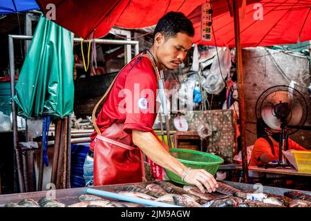 Bangkok, Thaïlande. 05th août 2022. Un vendeur trie du poisson frais au marché humide de Khlong Toey à Bangkok. La vie quotidienne autour du marché de Khlong Toey Wet à Bangkok. Alors que le tourisme continue de croître avec l'arrivée de 3 millions de touristes internationaux cette année, le taux d'inflation de détail de la Thaïlande a augmenté de 7,66% depuis un an, ce qui l'a porté à un niveau élevé de 14 ans et a conduit à des spéculations selon lesquelles la banque centrale augmentera le taux d'intérêt en août 2022. Crédit : SOPA Images Limited/Alamy Live News Banque D'Images