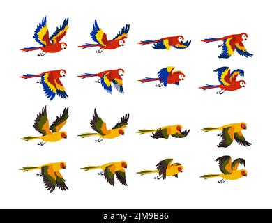 Jeu d'illustrations représentant des perroquets tropicaux colorés. Séquence des ailes d'oiseaux en flopping, mouvements des ailes. Boucle de sprite de l'ara volant dans le ciel isol Illustration de Vecteur