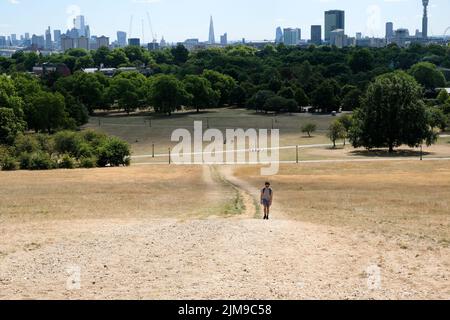 Primrose Hill, Londres, Royaume-Uni. 5th août 2022. Météo au Royaume-Uni : avertissements de sécheresse, paysages secs sur Primrose Hill, Londres. Crédit : Matthew Chattle/Alay Live News Banque D'Images