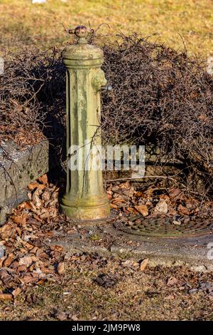Un cliché vertical d'une vieille borne d'incendie de rue au milieu de l'herbe sèche Banque D'Images