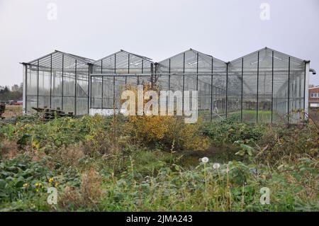 Une vieille serre de verre dans un champ avec le ciel couvert gris en arrière-plan à Meerbusch, en Allemagne Banque D'Images