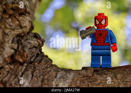 Un gros plan de la figure de jouet Spider-Man debout dans un arbre et tenant des jumelles Banque D'Images