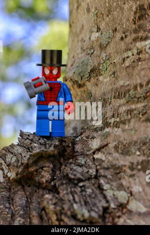 Une figurine jouet Spider-Man debout dans un arbre tenant des jumelles avec un chapeau noir Banque D'Images