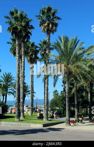 Promenade du bord de mer de Salou Banque D'Images