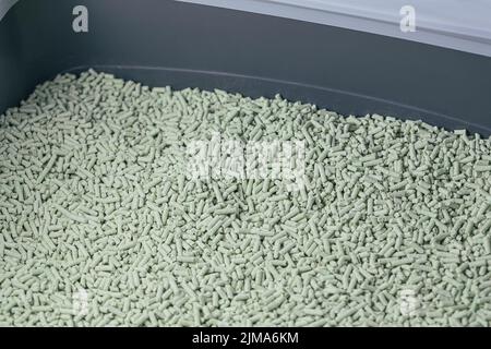 Boîte à litière pour chats avec litière en tofu biodégradable et lavable naturel et parfum de poudre de thé vert. Produit écologique pour animaux domestiques. Vue de dessus, espace de copie Banque D'Images