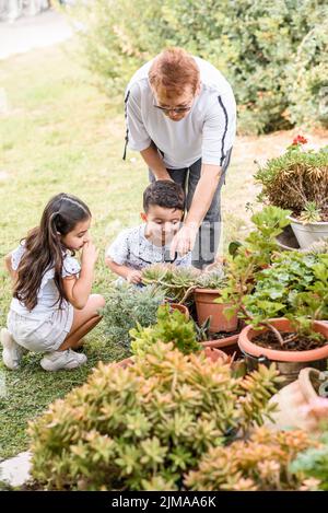 Deux enfants aident leur grand-mère à prendre soin du jardin local. Une famille dans Un jardin dans l'arrière-cour. Femme âgée enseignant aux petits-enfants Comment prendre soin d'une usine. Banque D'Images