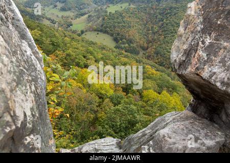 Vue depuis Seneca Rocks en Virginie occidentale Banque D'Images