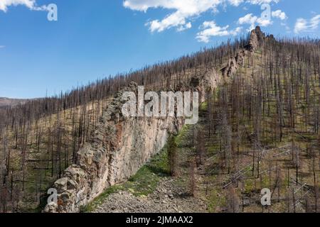 Grand County, Colorado - les séquelles du feu inquiétant est. Le feu a été l'un des plus importants de l'histoire du Colorado, brûlant près de 200 000 acr Banque D'Images