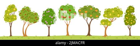 Ensemble de dessins animés à plat de jardin d'arbres fruitiers. Résumé différents vergers pomme, poire et citron, cerise, mandarine, prune et abricot. Ferme fruits mûrs récolte botanique éco collection. Illustration vectorielle Illustration de Vecteur