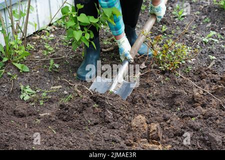 Femme de creuser le sol avec une pelle sur un gros plan d'un jardin Banque D'Images