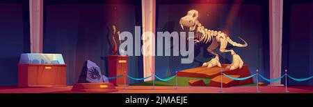 Musée de paléontologie avec squelette de dinosaure la nuit. Exposition préhistorique de l'époque jurassique avec fossiles de Tyrannosaurus rex, pierres âges arme et mollusque imprimer des objets anciens, illustration vectorielle de cartoon Illustration de Vecteur