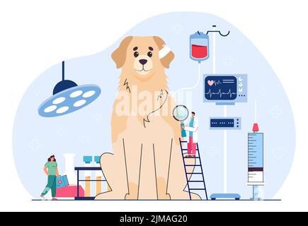 Illustration de petits vétérinaires examinant le vecteur plat de chien. Médecin traitant un animal énorme à la clinique vétérinaire, prenant soin de la santé, déterminant le diagnostic. Hai Illustration de Vecteur