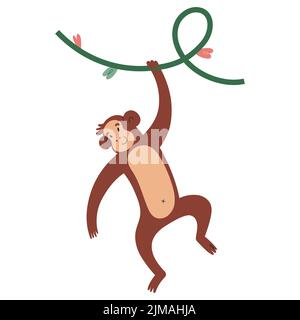 Singe mignon souriant et suspendu d'une plante super-réducteur, gai ou macaque, illustration vectorielle isolée sur fond blanc Illustration de Vecteur