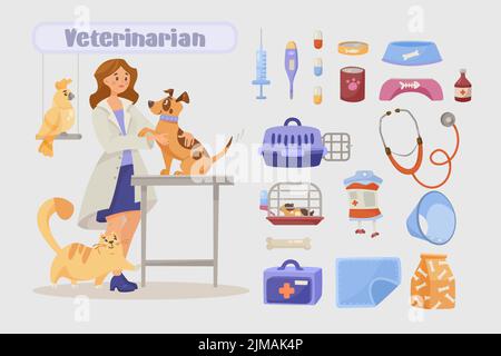 Jeu d'illustrations de dessin animé d'outils vétérinaires. Vétérinaire femelle examinant chien heureux. Pilules, nourriture, thermomètre, stéthoscope, trousse de premiers soins, porte-animal. Profes Illustration de Vecteur