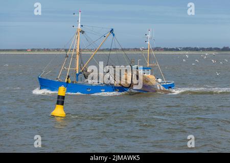 Bateau de pêche sur la mer des Wadden près de l'île d'Ameland Banque D'Images