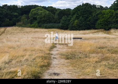 Londres, Royaume-Uni. 5th août 2022. L'herbe sèche domine le paysage de Hampstead Heath, alors que les conditions météorologiques chaudes et les conditions de sécheresse causées par le changement climatique se poursuivent à Londres. Credit: Vuk Valcic/Alamy Live News Banque D'Images