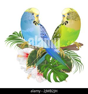Perruques bleues et vertes avec fleurs tropicales arrangement floral hibiscus blanc et palmier, philodendron ficus vintage aquarelle vecteur Illustration de Vecteur