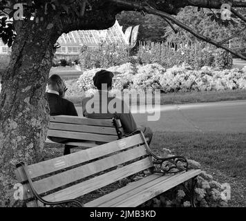 Photo en niveaux de gris de deux amis masculins assis sur un banc de table et contemplant les nouvelles Banque D'Images