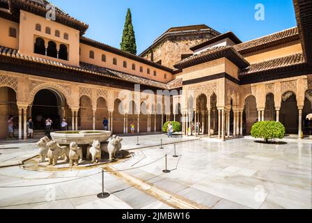 Le Palais des lions à l'Alhambra, Grenade, Espagne. Banque D'Images