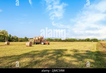 Scène agricole. Levage du tracteur hay bale sur Barrow. Banque D'Images