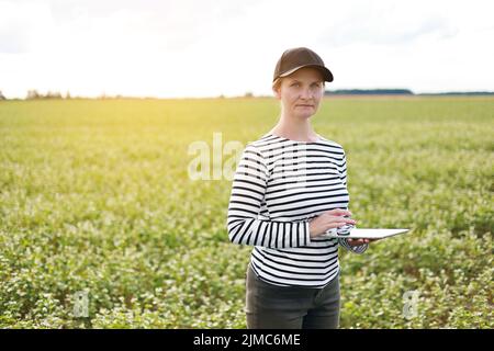 une agronome féminine avec un comprimé vérifie la croissance d'un champ avec des fleurs de sarrasin. la femme examine le champ et saisit les données dans un numérique Banque D'Images