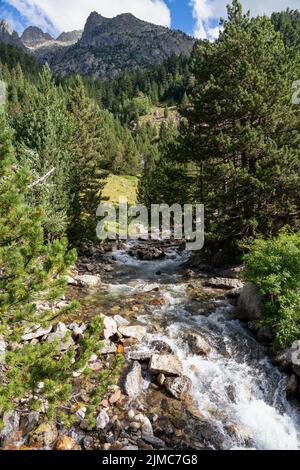 Rivière d'eau blanche dans la vallée d'été verdoyante et boisée et montagnes autour de l'Hôpital de Benasque, Huesca Espagne Banque D'Images