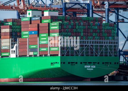 Europoort, Port de Rotterdam, Evergreen Reederei Container Ship Ever Ace, actuellement le troisième plus grand conteneur cargo dans le monde, avec jusqu'à 24, Banque D'Images