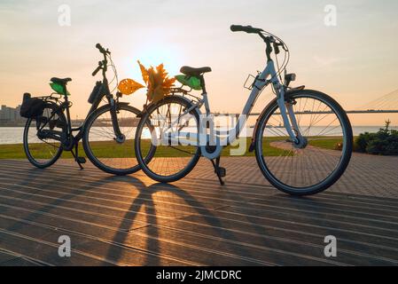 Deux vélos avec des feuilles jaunes sur le coffre Banque D'Images