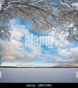 Paysage d'hiver avec neige - arbres couverts et ciel bleu et nuages sur la rive d'un lac gelé Banque D'Images