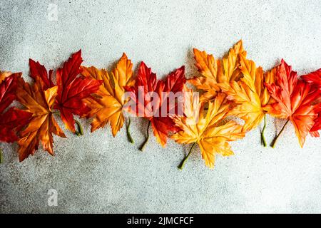 Feuilles d'érable rouge vif et jaune sur fond de béton Banque D'Images