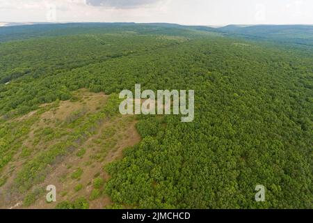 Forêt de Babadag, Rezervatia Naturala Padirea Babadag, photo de drone, photo aérienne, Réserve de biosphère du delta du Danube, Roumanie Banque D'Images