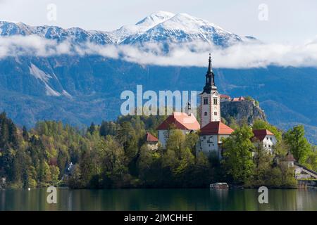 Bled Island avec l'église Sainte-Marie, le lac Bled, le lac Veldes, Blejsko jezero, Bled, Veldes, Feldes, haute région de Carniola, Gorenjska, Slovénie, Balkans Banque D'Images