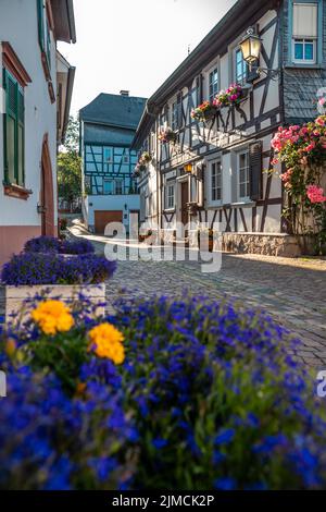 Vieille ville avec des maisons à colombages autour du château électoral sur les rives du Rhin, Eltville am Rhein, Rheingau, Hesse, Allemagne Banque D'Images