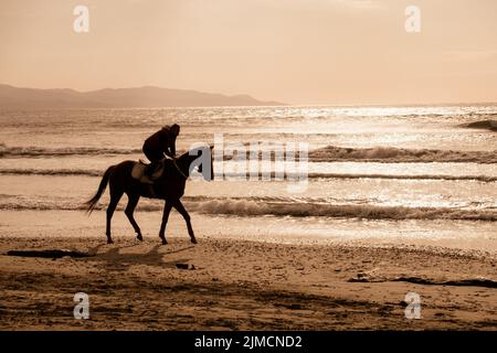 Homme à cheval galopant brun sur la plage d'Ayia ERINI à Chypre contre une mer agitée Banque D'Images