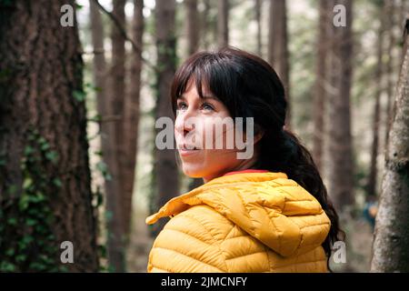 Femme en extérieur admirant la forêt tout en voyageant dans les forêts de conifères en week-end Banque D'Images